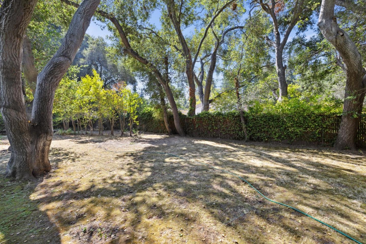 243 Selby Lane Atherton, CA 94027 - Photo 75 of 90 a view of backyard with green space