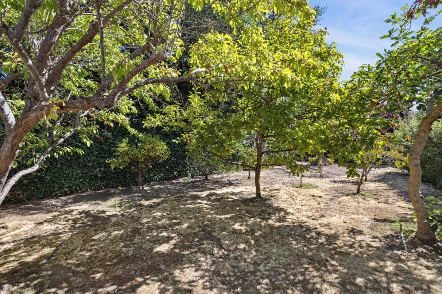 243 Selby Lane Atherton, CA 94027 - Photo 77 of 90 a backyard of a house with lots of green space