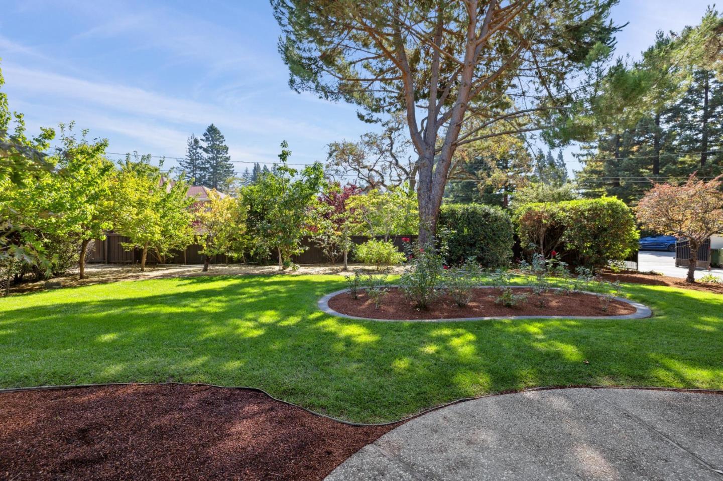 243 Selby Lane Atherton, CA 94027 - Photo 9 of 90 a view of a garden with large trees