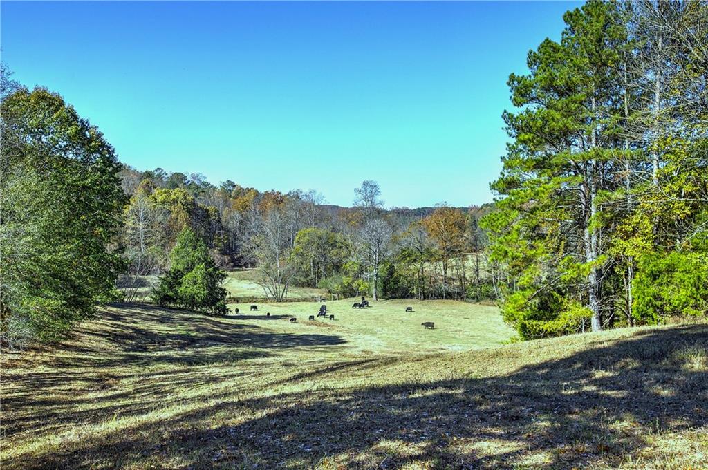 711 East Cochran Road Southeast Ranger, GA 30734 - Photo 1 of 36