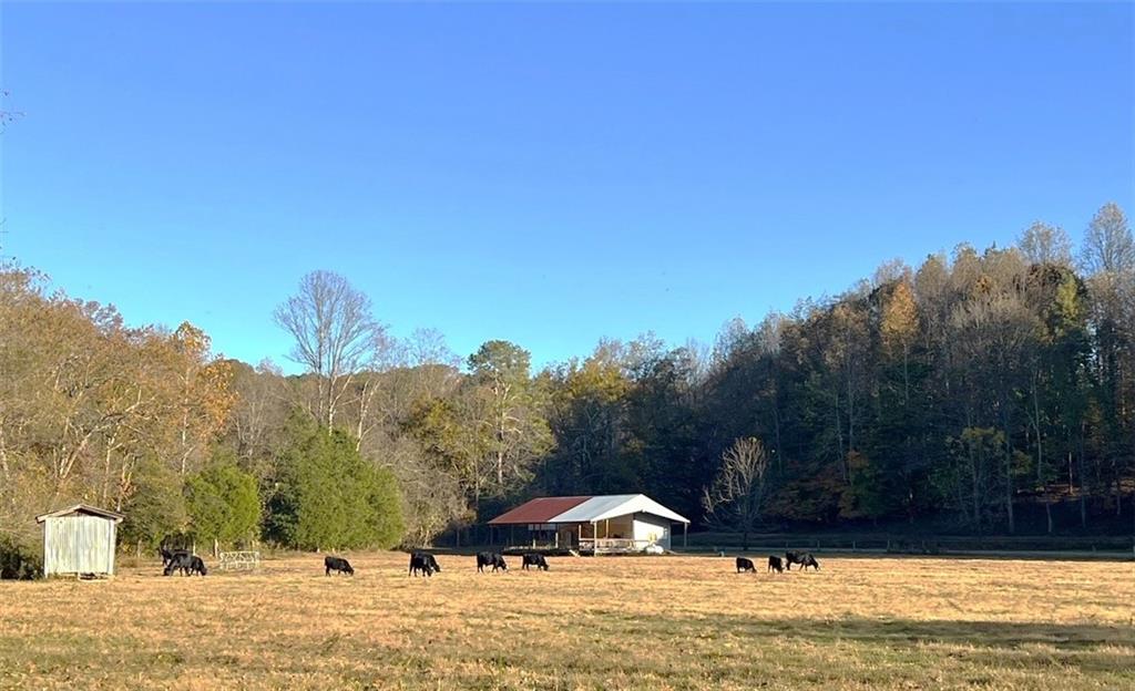 711 East Cochran Road Southeast Ranger, GA 30734 - Photo 26 of 36