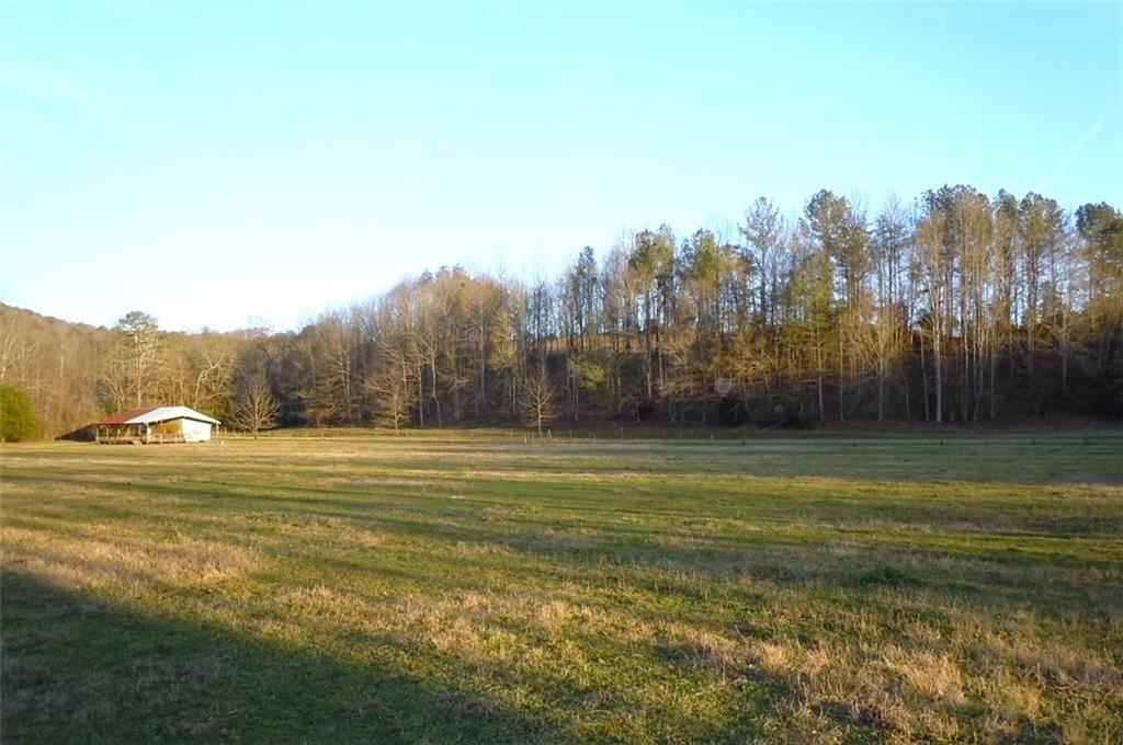 711 East Cochran Road Southeast Ranger, GA 30734 - Photo 29 of 36
