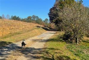 711 East Cochran Road Southeast Ranger, GA 30734 - Photo 32 of 36