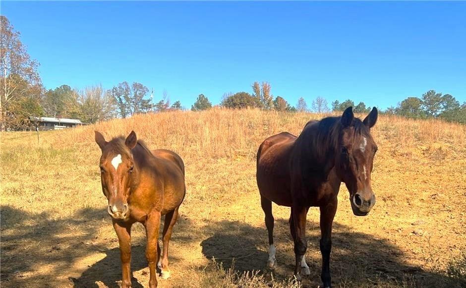 711 East Cochran Road Southeast Ranger, GA 30734 - Photo 33 of 36