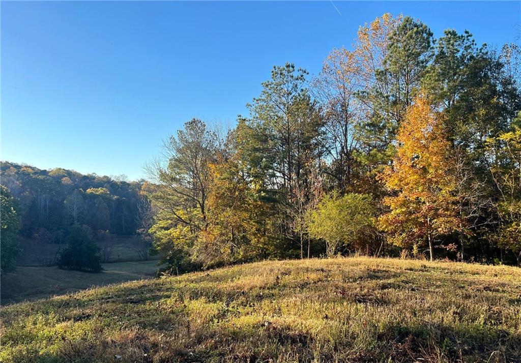 711 East Cochran Road Southeast Ranger, GA 30734 - Photo 5 of 36