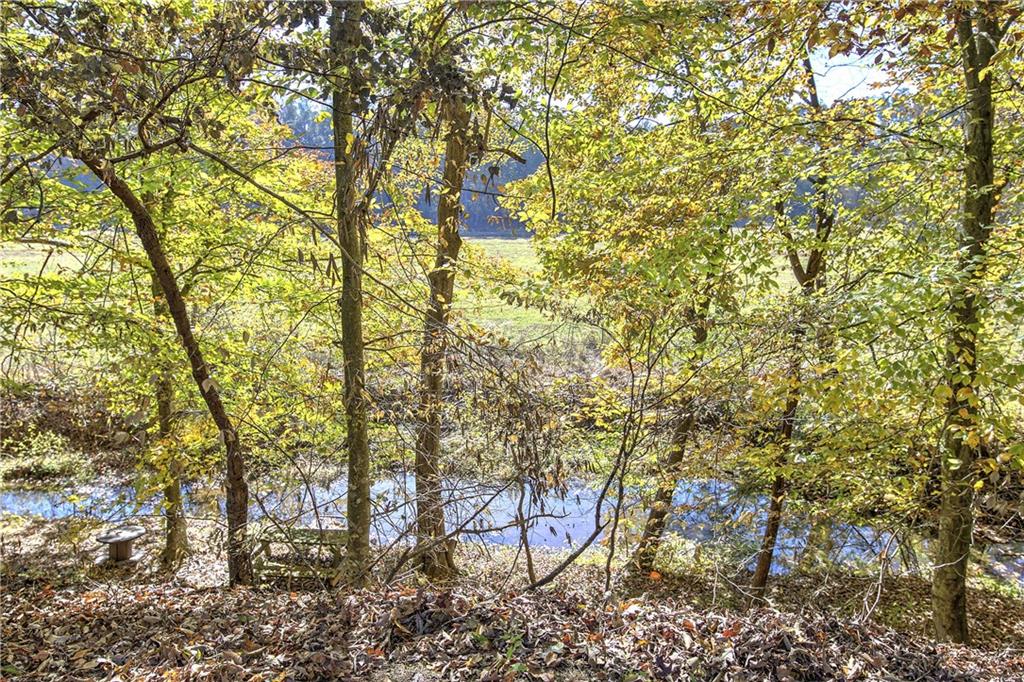 711 East Cochran Road Southeast Ranger, GA 30734 - Photo 8 of 36