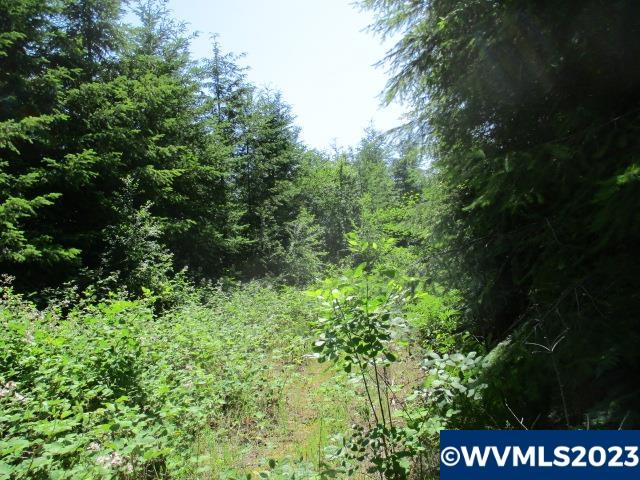 Mt Pleasant Road Lebanon, OR 97355 - Photo 5 of 5