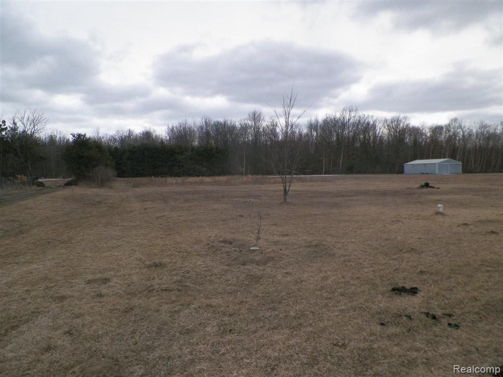 5675 Murphy Lake Road Millington, MI 48746 - Photo 14 of 18 262-161381 - Yard.JPG