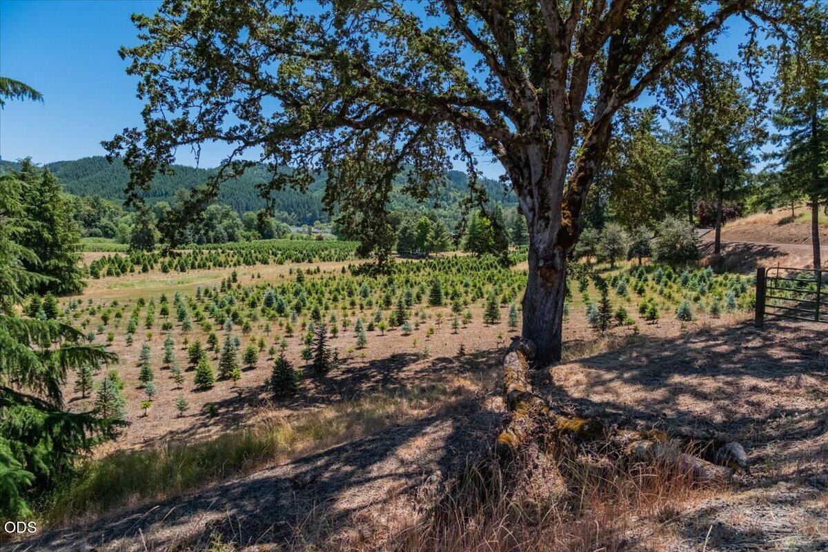 106 Green Valley Road Oakland, OR 97462 - Photo 52 of 52