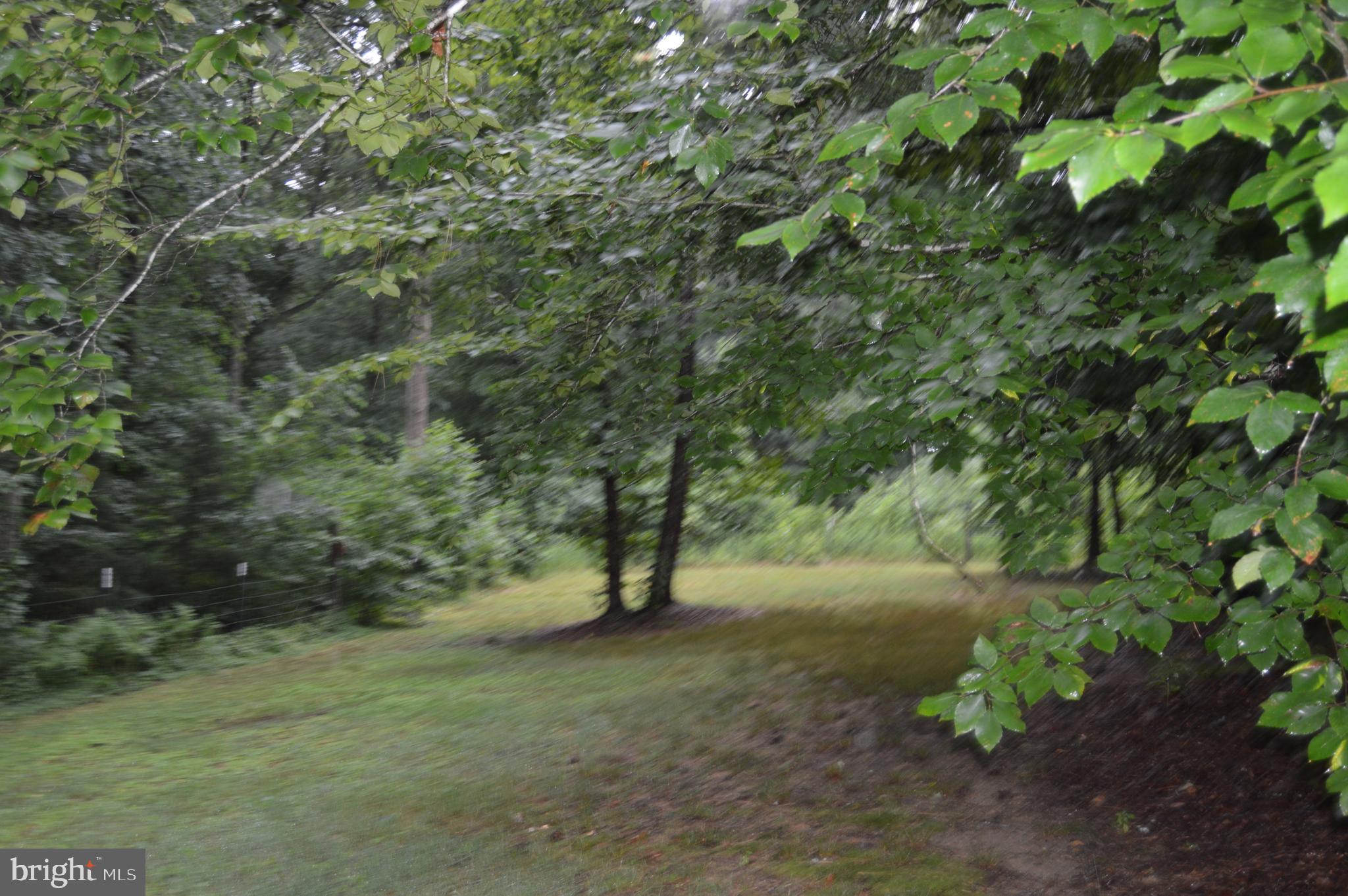 29042 Sparta Road Milford, VA 22514 - Photo 2 of 17 Side