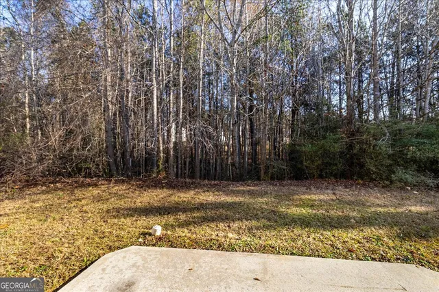 $300,000 | 1129 Watercourse Way, Hampton, GA 30228