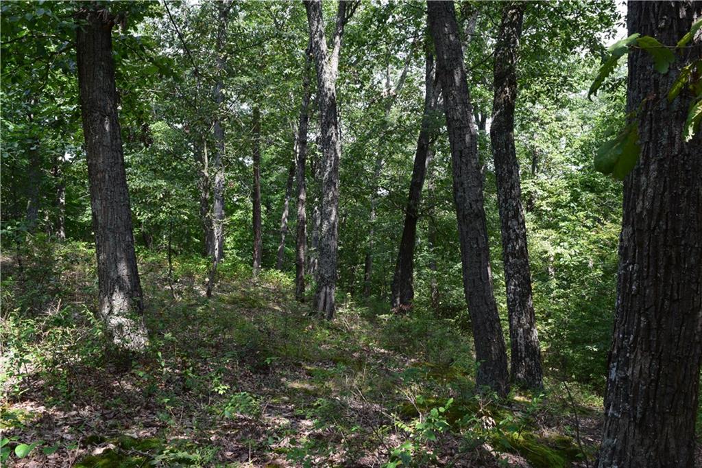0 North Reynolds Road Salem, IN 47167 - Photo 14 of 15