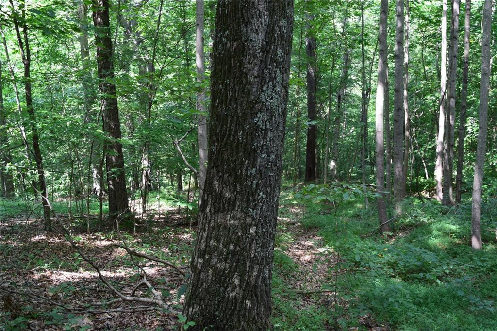 0 North Reynolds Road Salem, IN 47167 - Photo 8 of 15