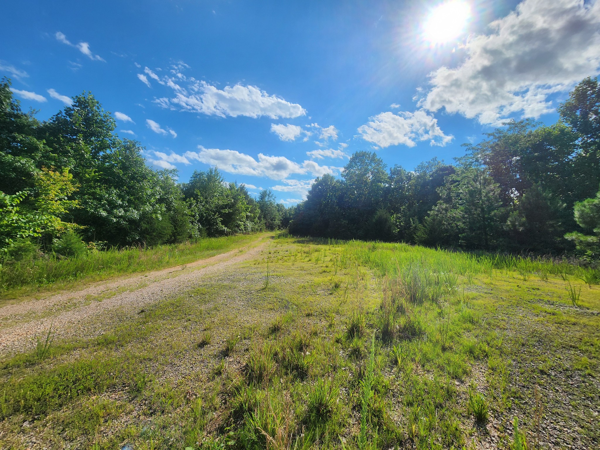 0 Sinking Creek Road Linden, TN 37096 - Photo 6 of 23