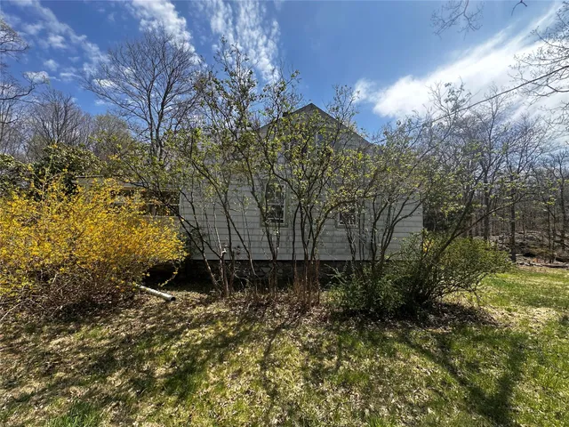 a view of bushes and trees
