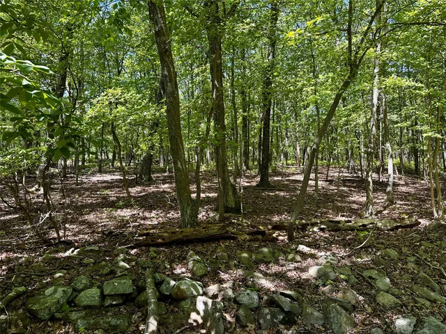 a view of outdoor space and trees