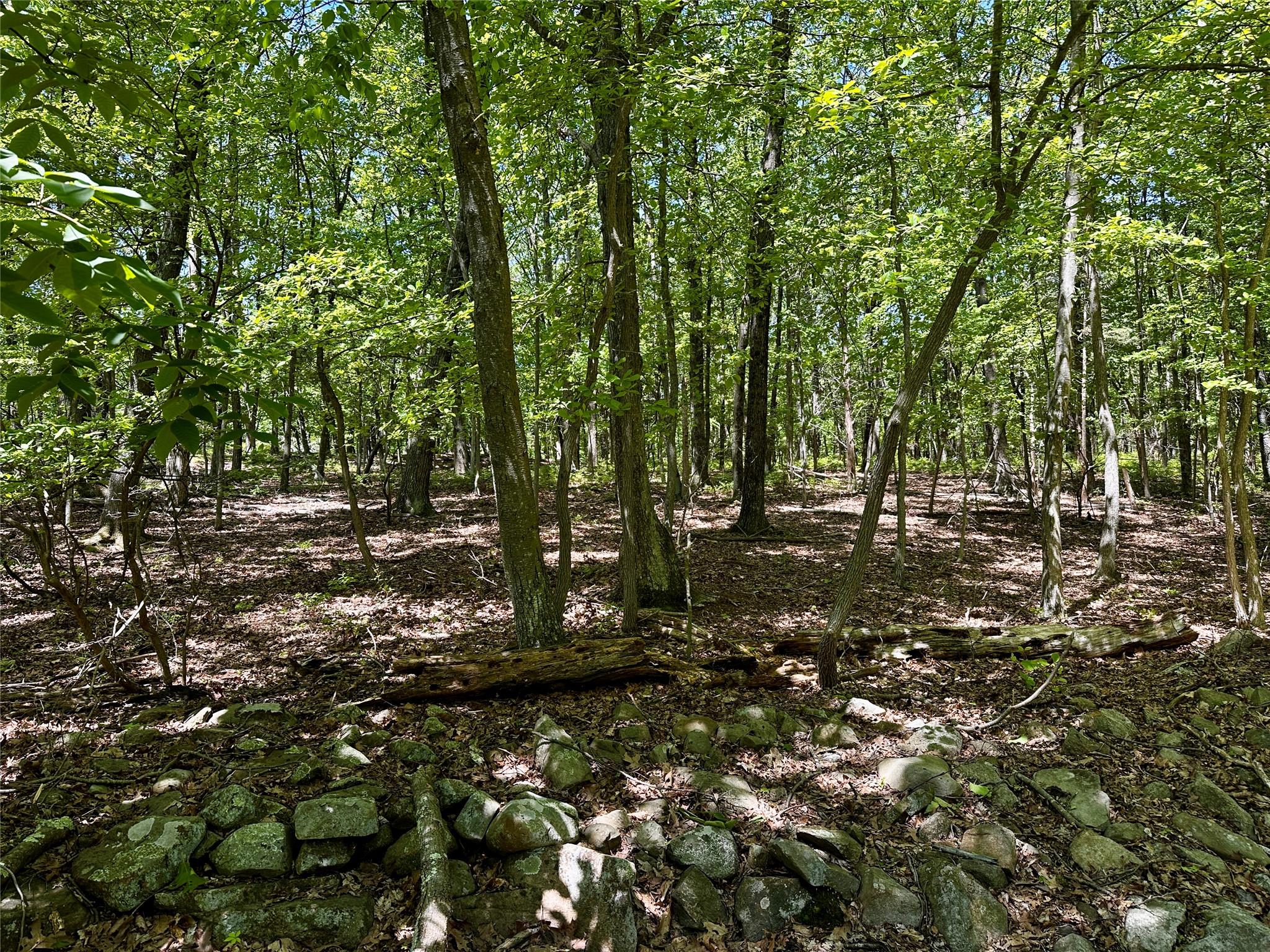 Rye Hill Road Monroe, NY 10950 - Photo 4 of 32 a view of outdoor space and trees