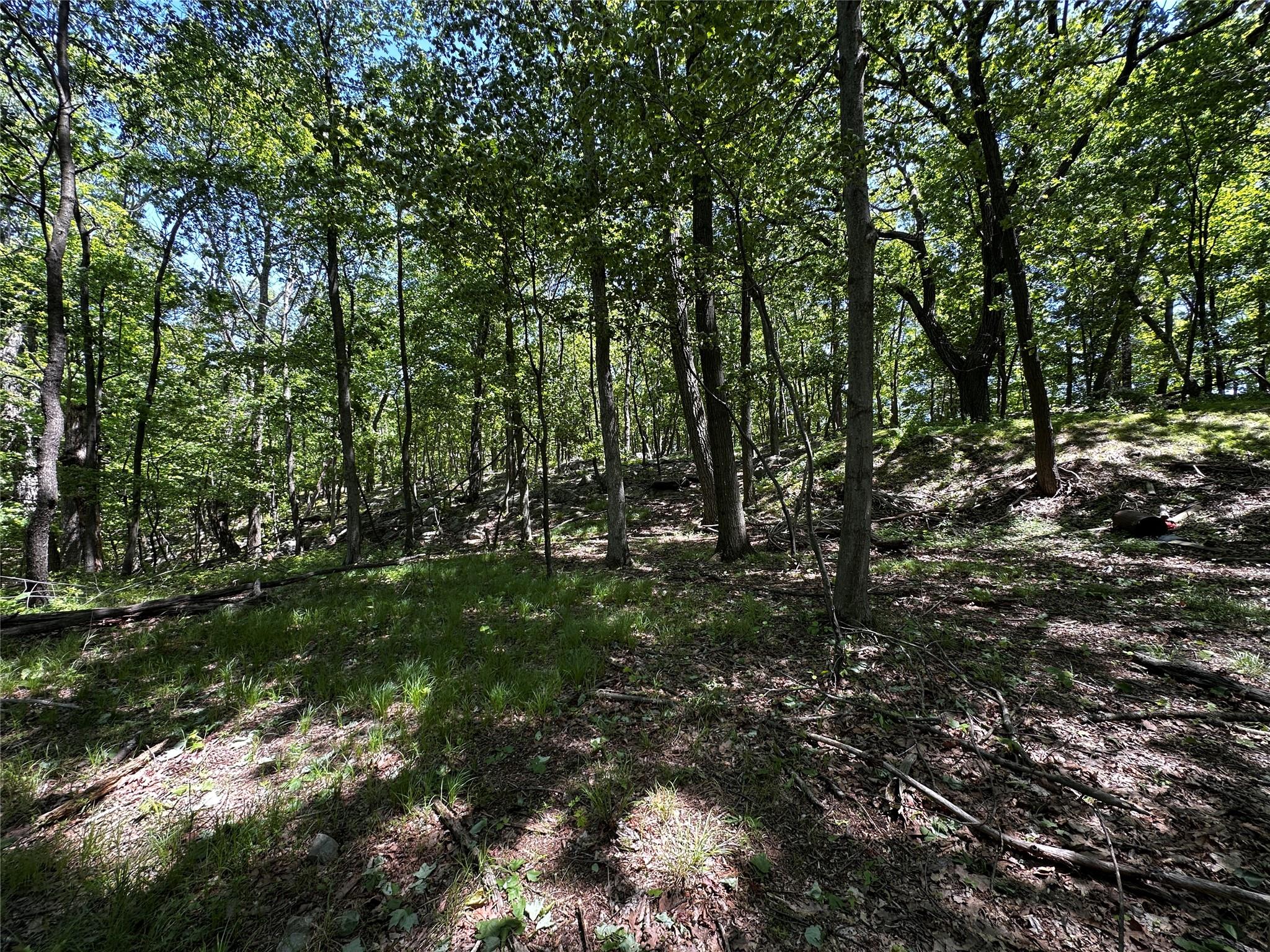 Rye Hill Road Monroe, NY 10950 - Photo 5 of 32 a view of outdoor space and trees