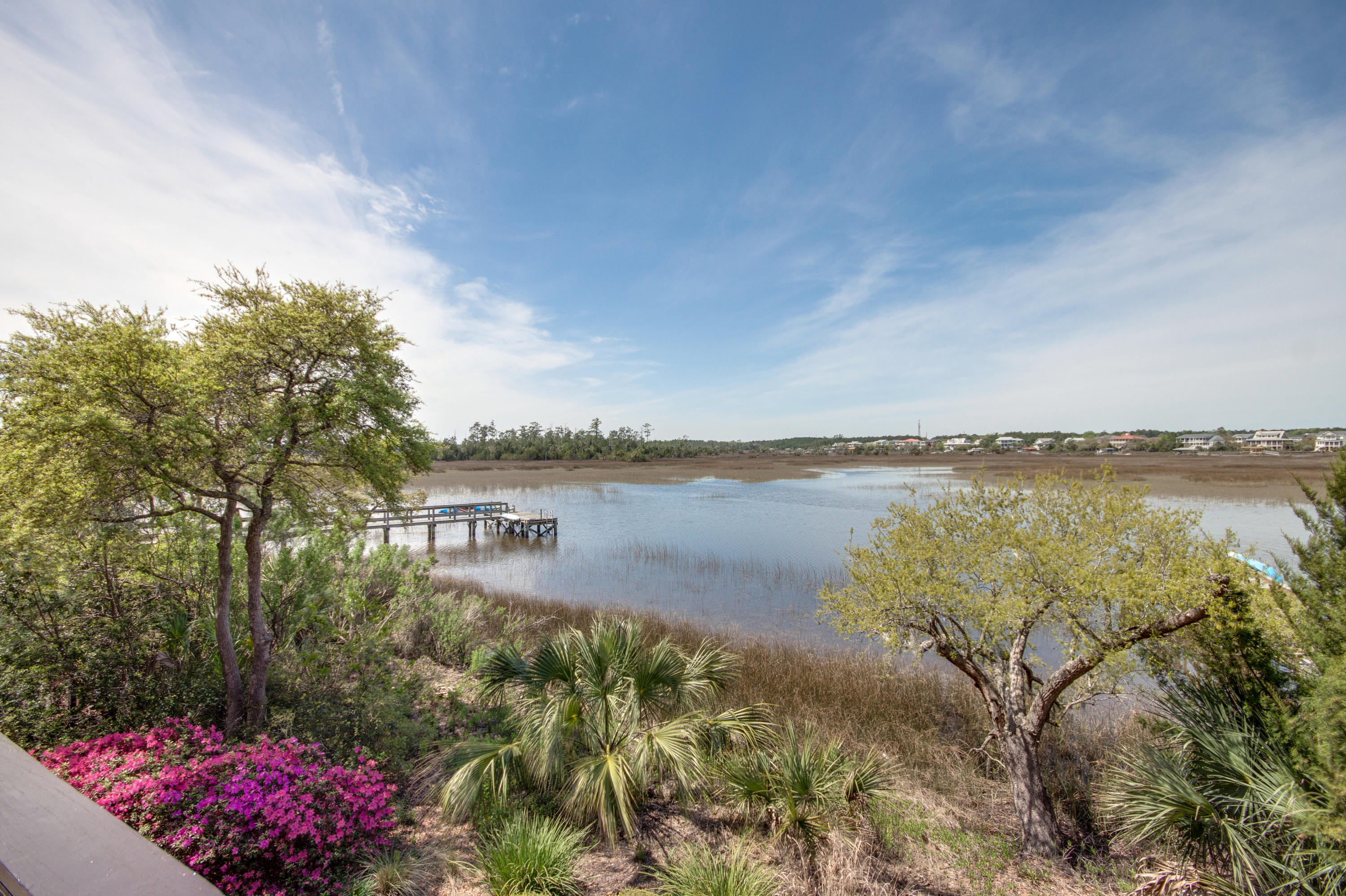 51 Watroo Point Charleston, SC 29492 - Photo 8 of 38 ib1603292-1047