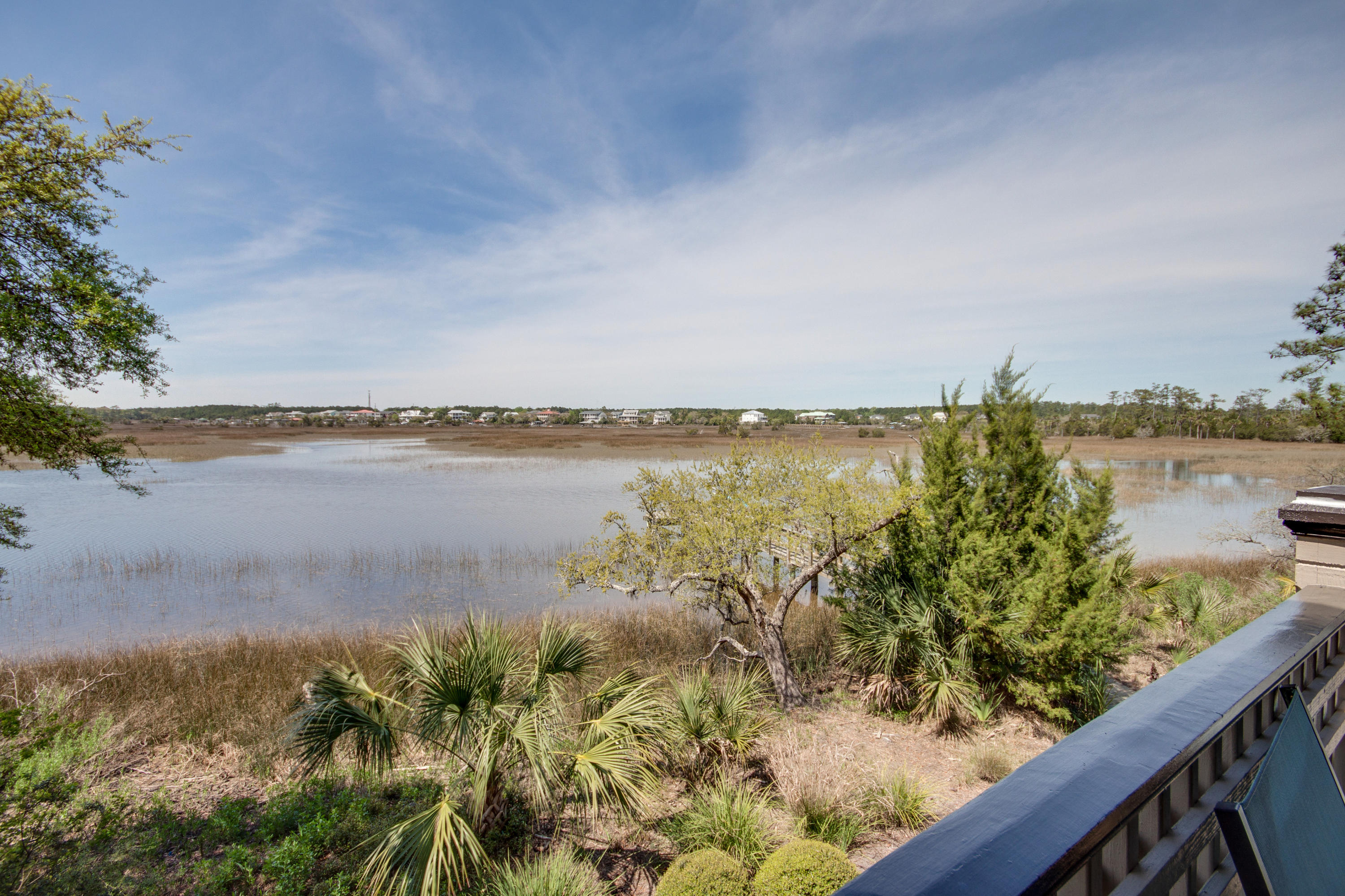 51 Watroo Point Charleston, SC 29492 - Photo 9 of 38 ib1603292-1046