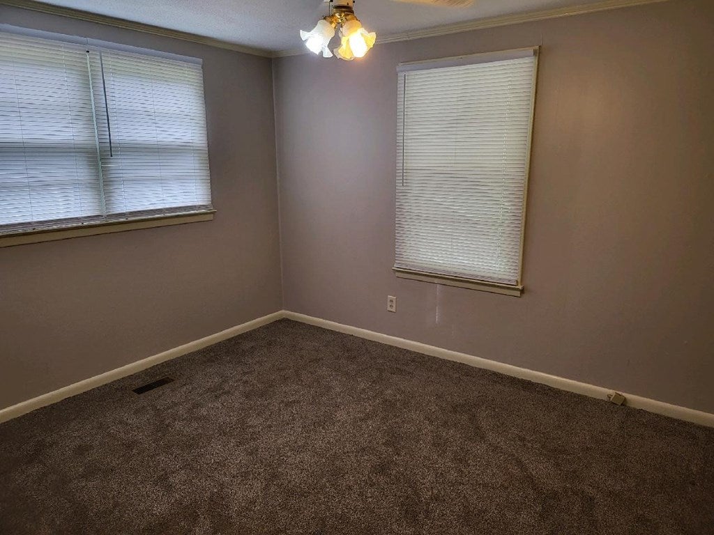 1540 Mussel White Store Road Lenox, GA 31637 - Photo 8 of 15 Gallery Image 8