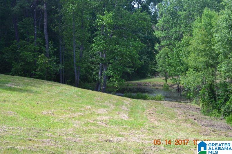2257 County Road 55 Clanton, AL 35046 - Photo 15 of 35