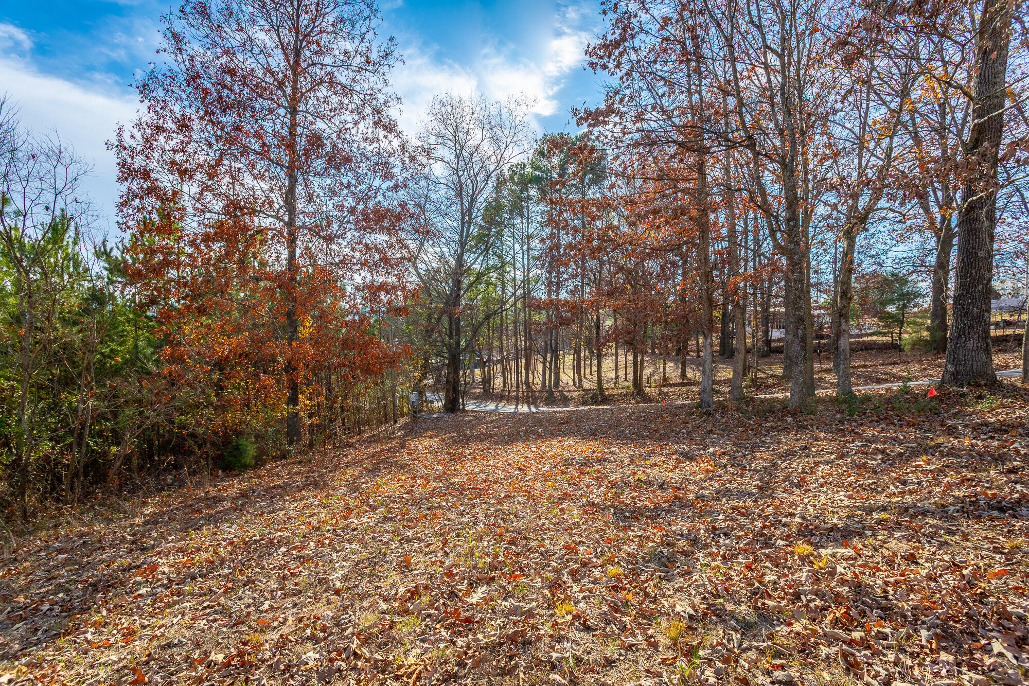 220 Albet Pilgrim Road Jasper, TN 37347 - Photo 16 of 16 220 Albert Pilgram Road HD-18