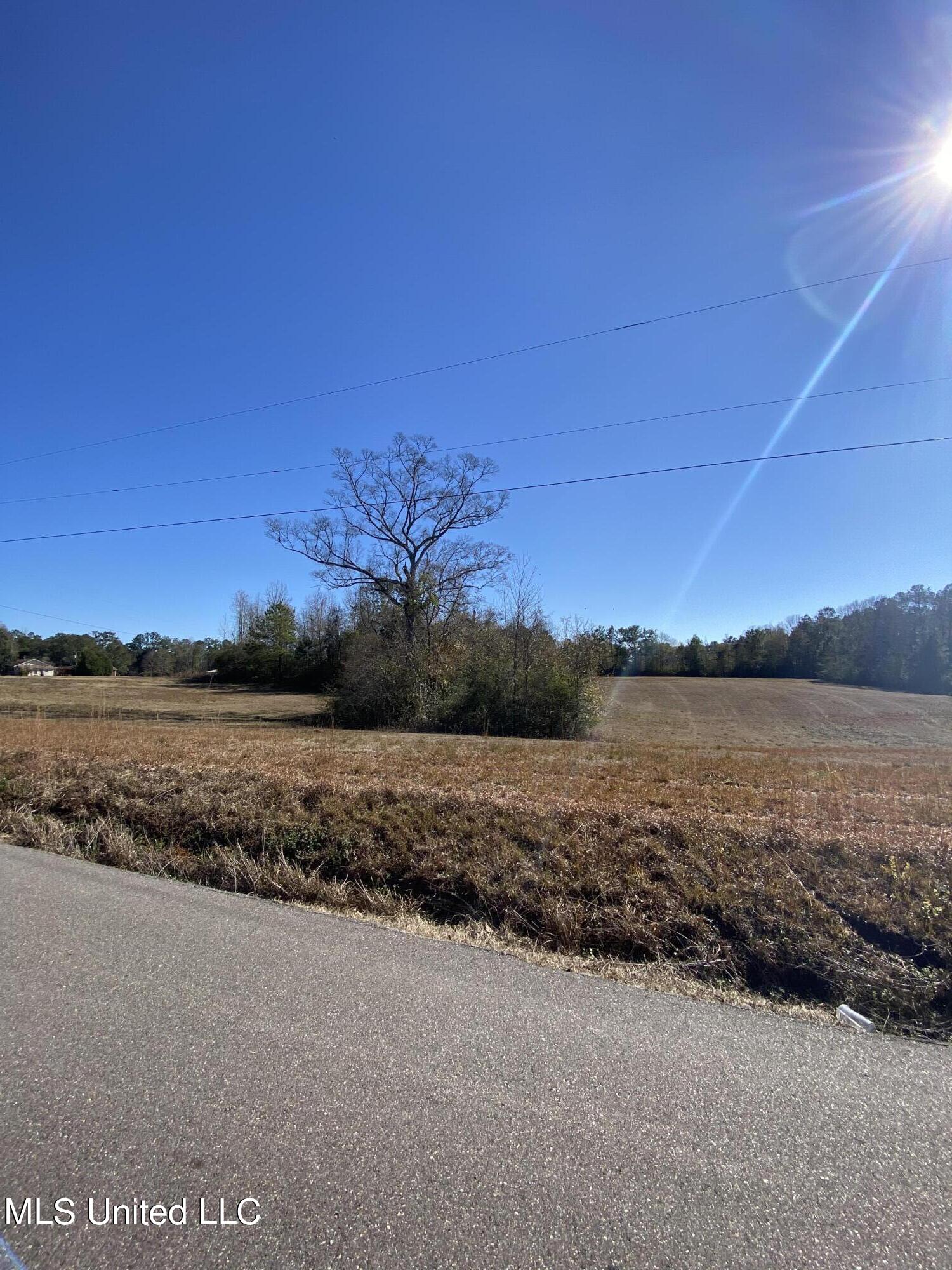 115 Albert Prince Road Carriere, MS 39426 - Photo 1 of 13 37