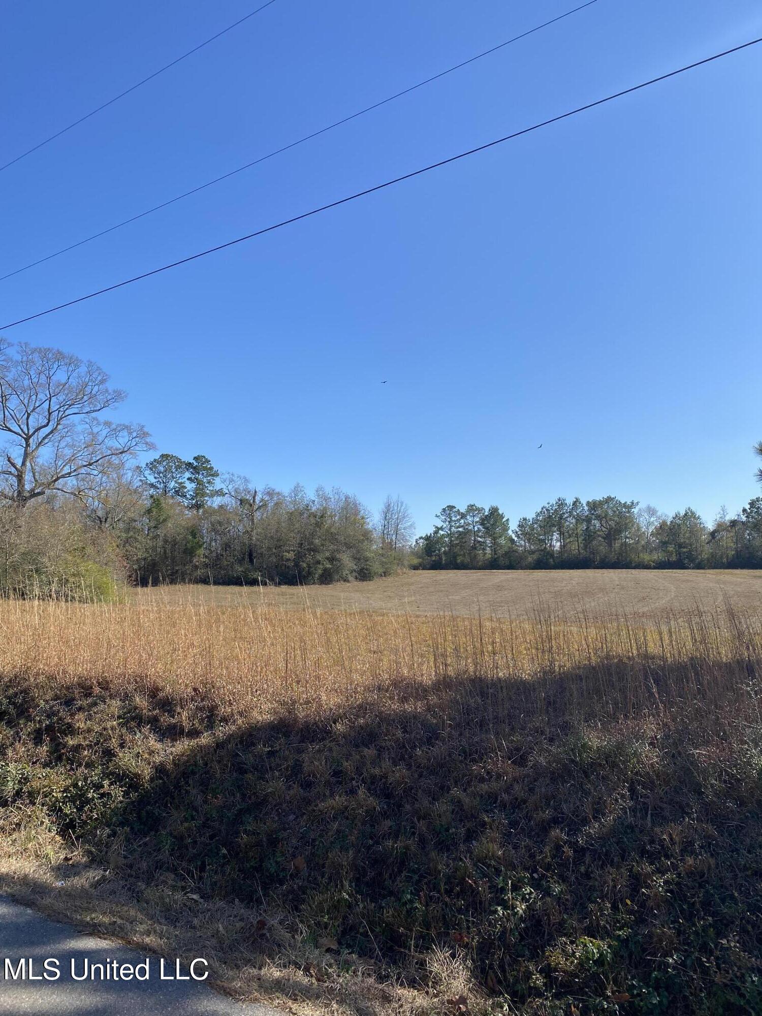 115 Albert Prince Road Carriere, MS 39426 - Photo 13 of 13 38
