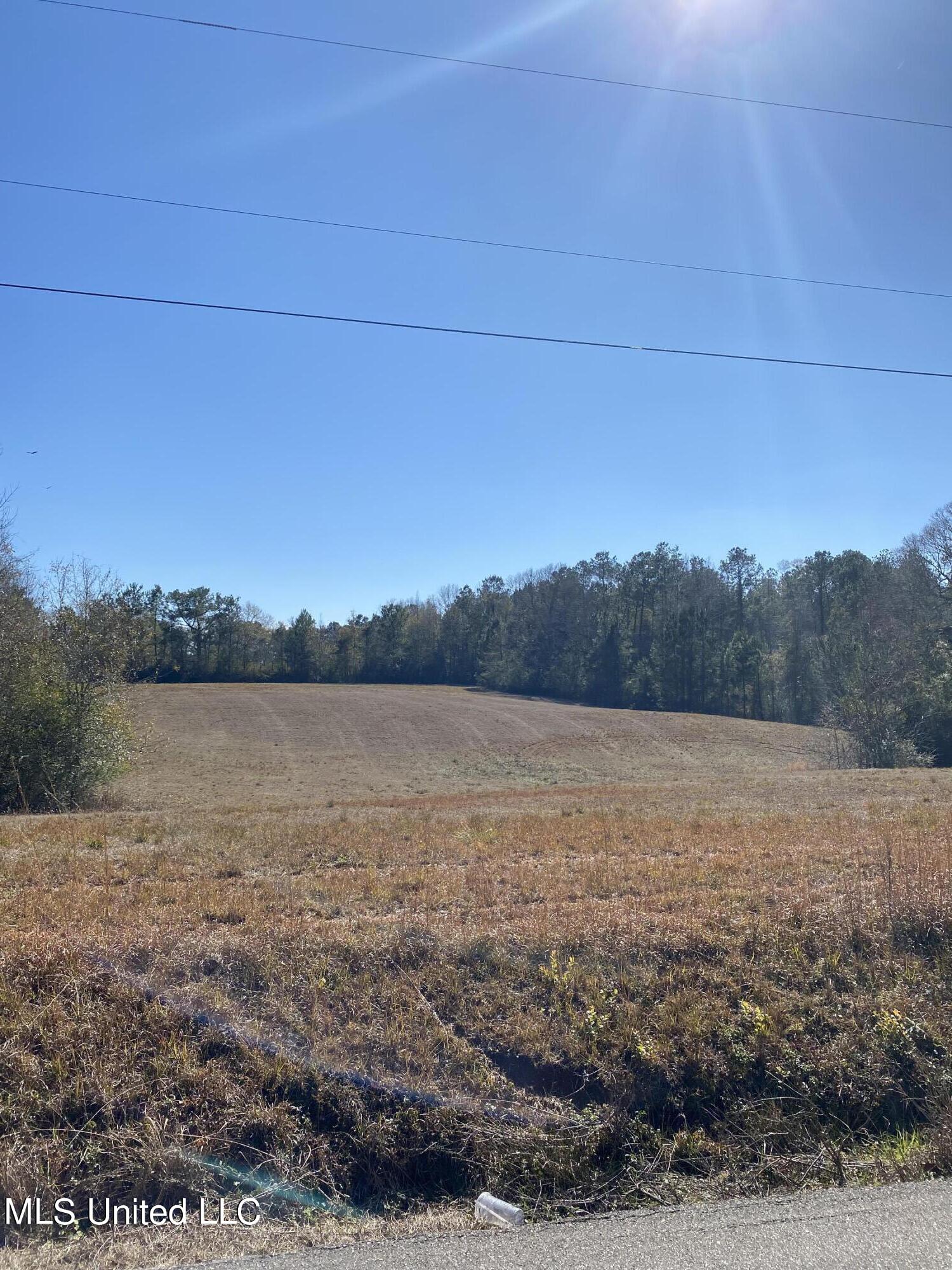 115 Albert Prince Road Carriere, MS 39426 - Photo 2 of 13 36