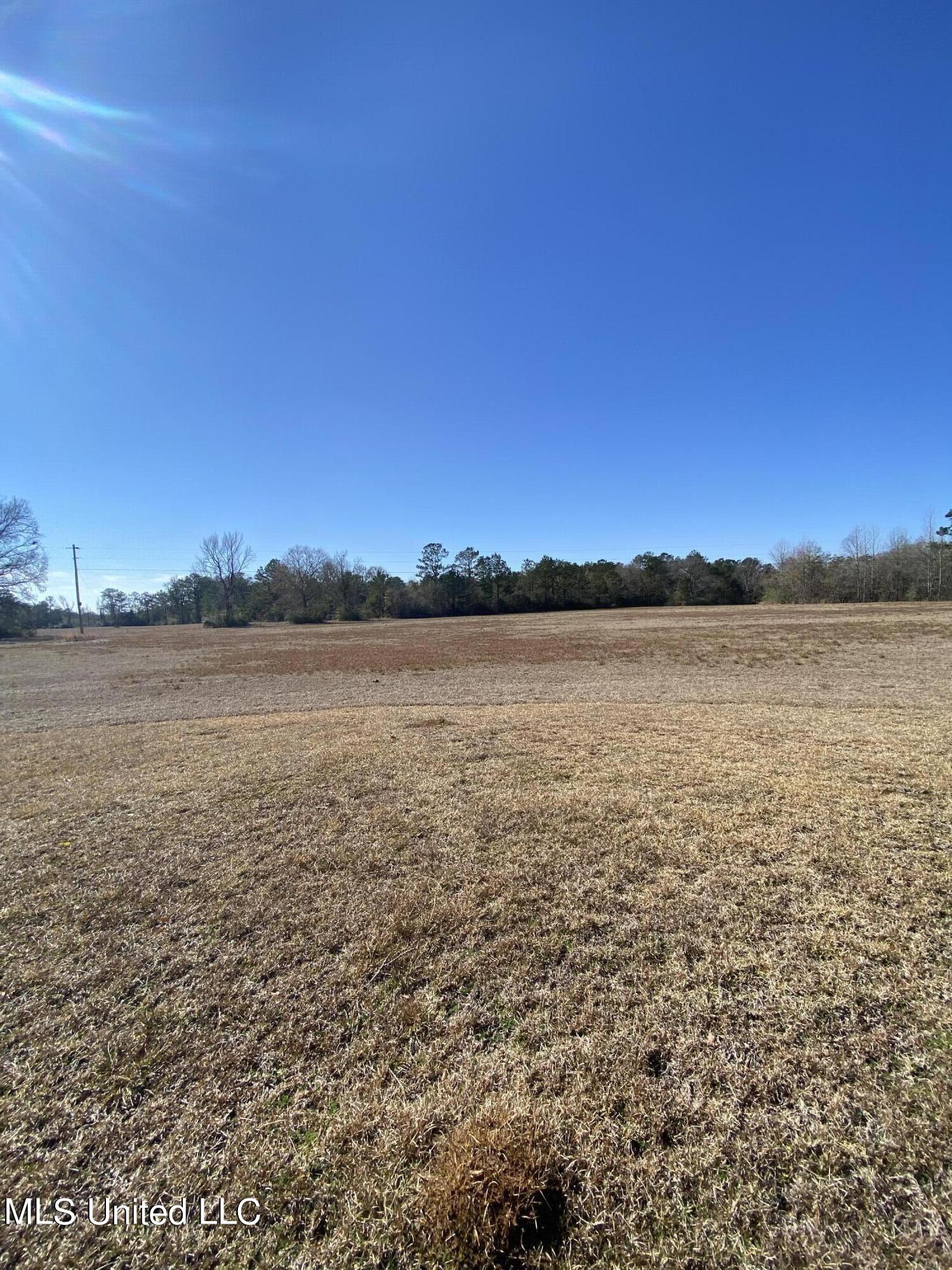 115 Albert Prince Road Carriere, MS 39426 - Photo 3 of 13 28