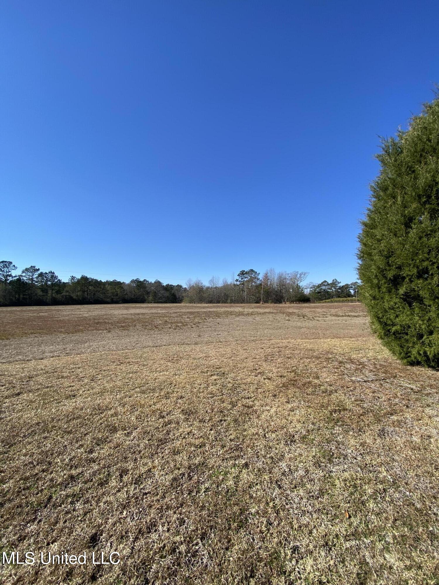 115 Albert Prince Road Carriere, MS 39426 - Photo 4 of 13 27