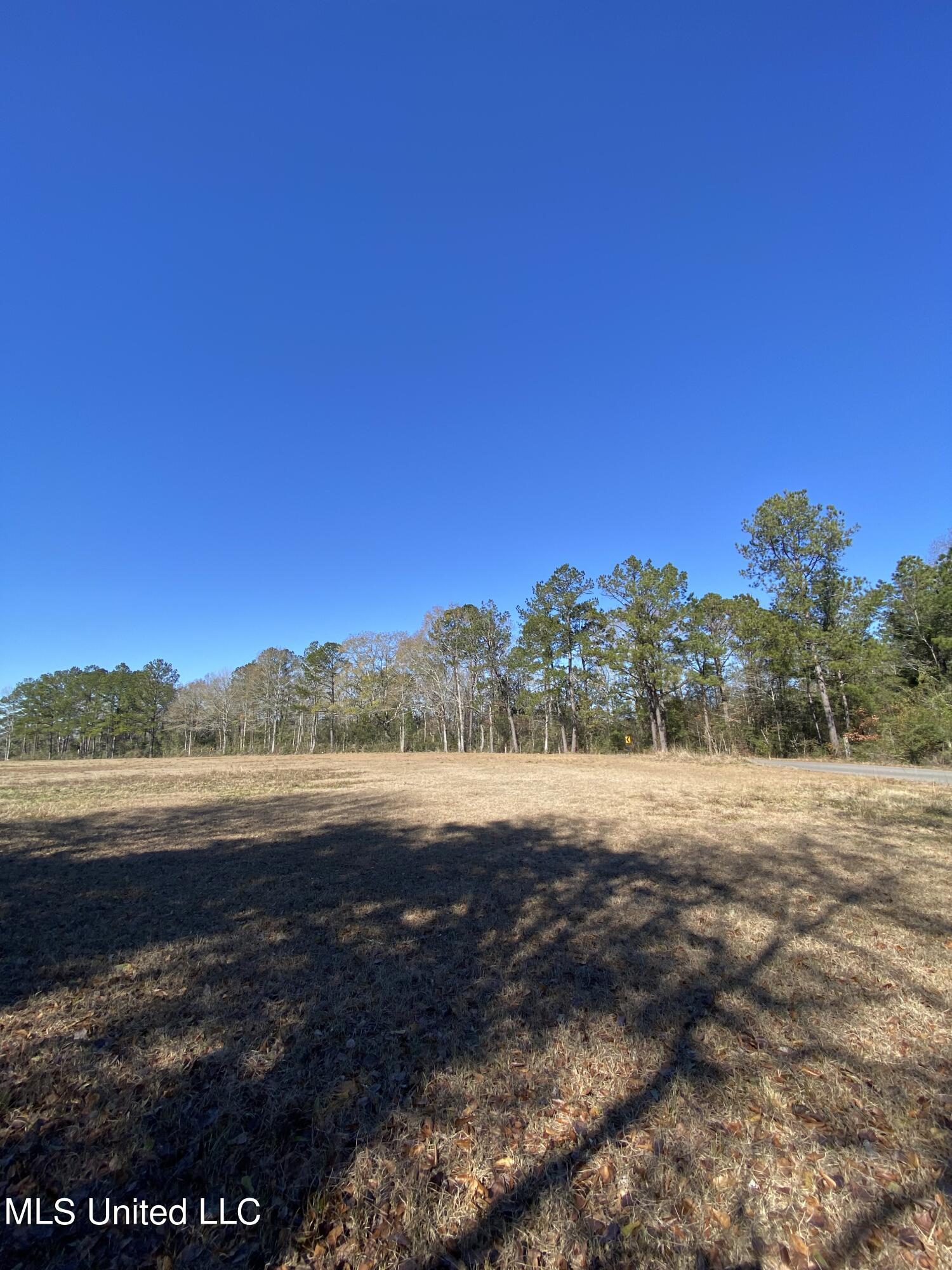 115 Albert Prince Road Carriere, MS 39426 - Photo 5 of 13 18