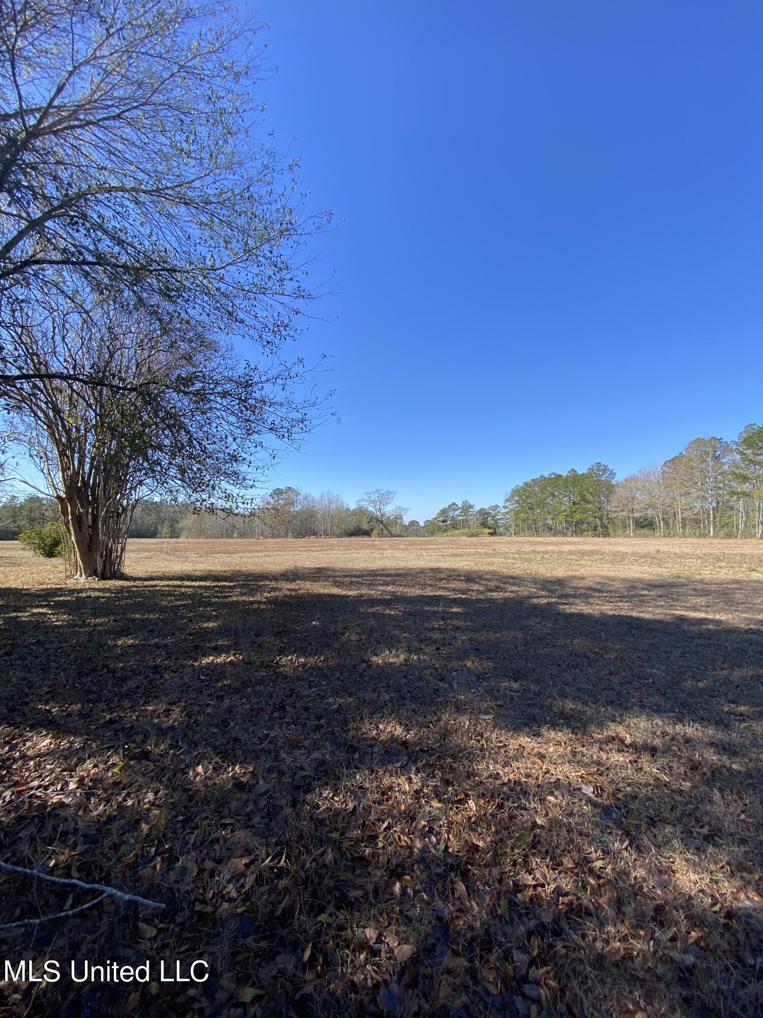 115 Albert Prince Road Carriere, MS 39426 - Photo 6 of 13 20