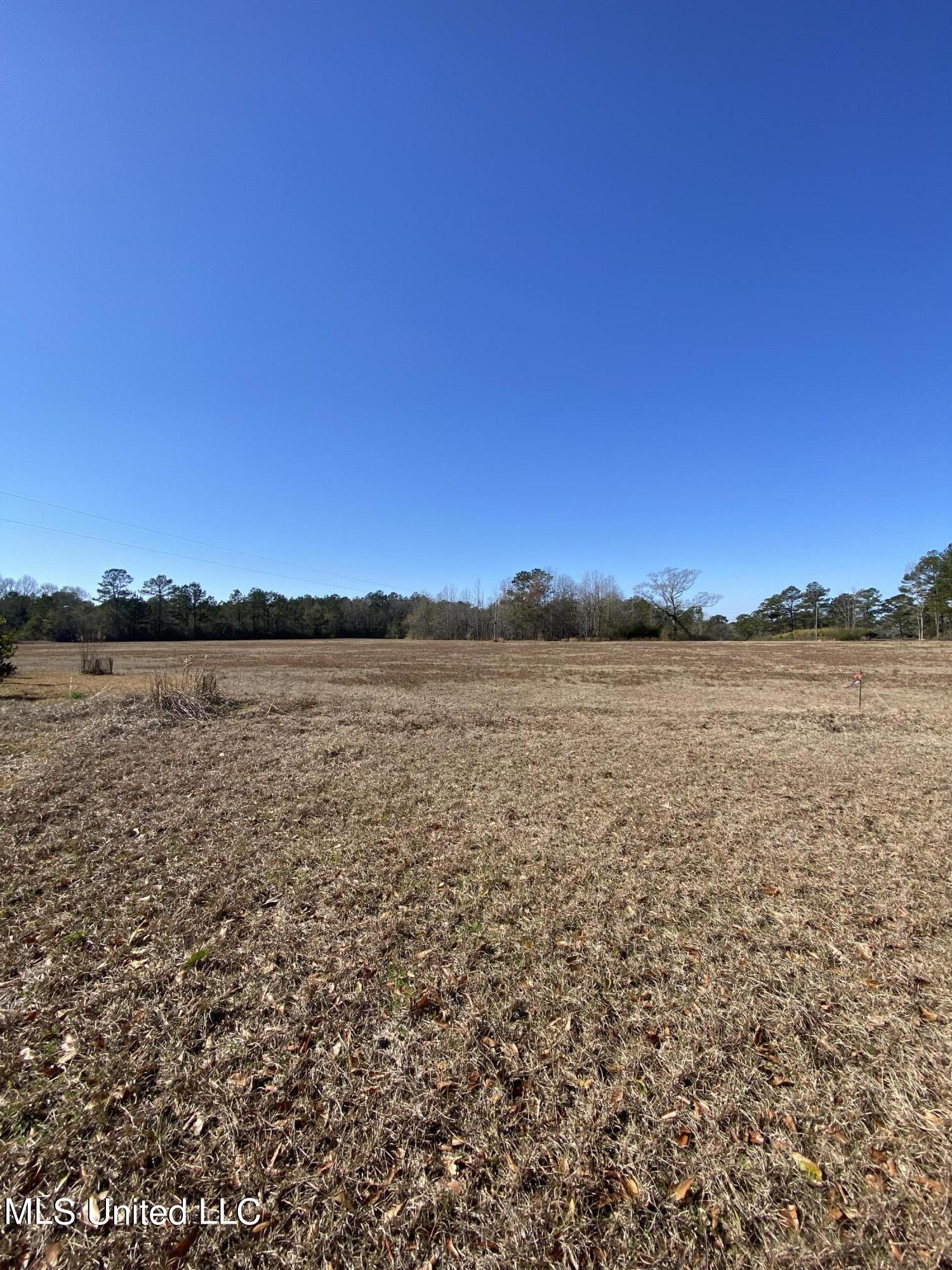 115 Albert Prince Road Carriere, MS 39426 - Photo 7 of 13 22