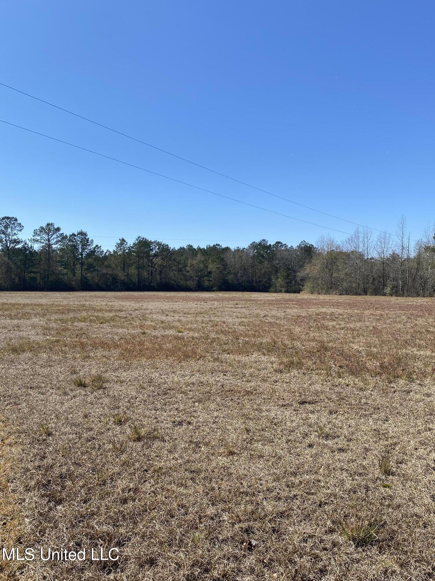 115 Albert Prince Road Carriere, MS 39426 - Photo 8 of 13 24