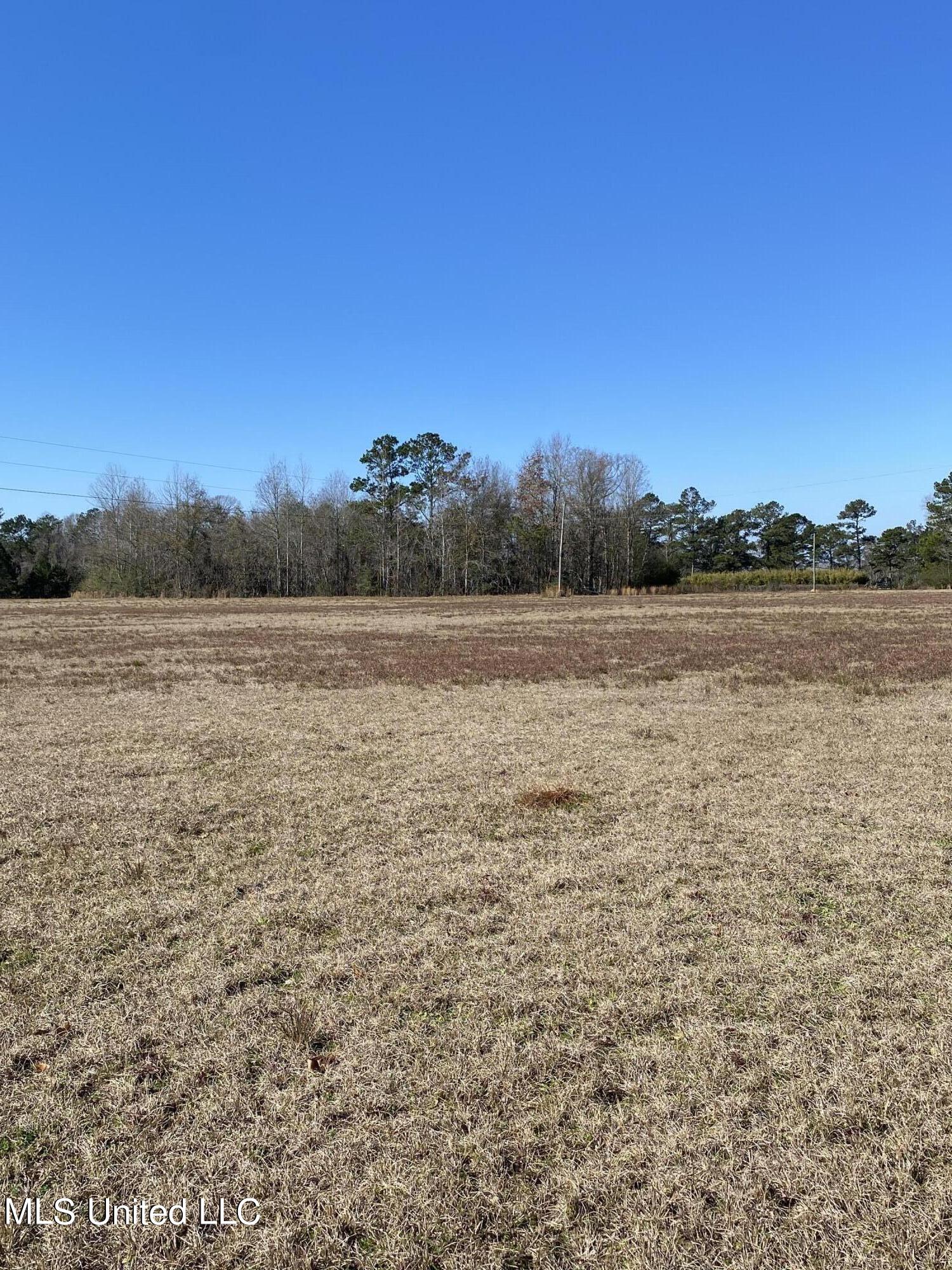 115 Albert Prince Road Carriere, MS 39426 - Photo 9 of 13 30