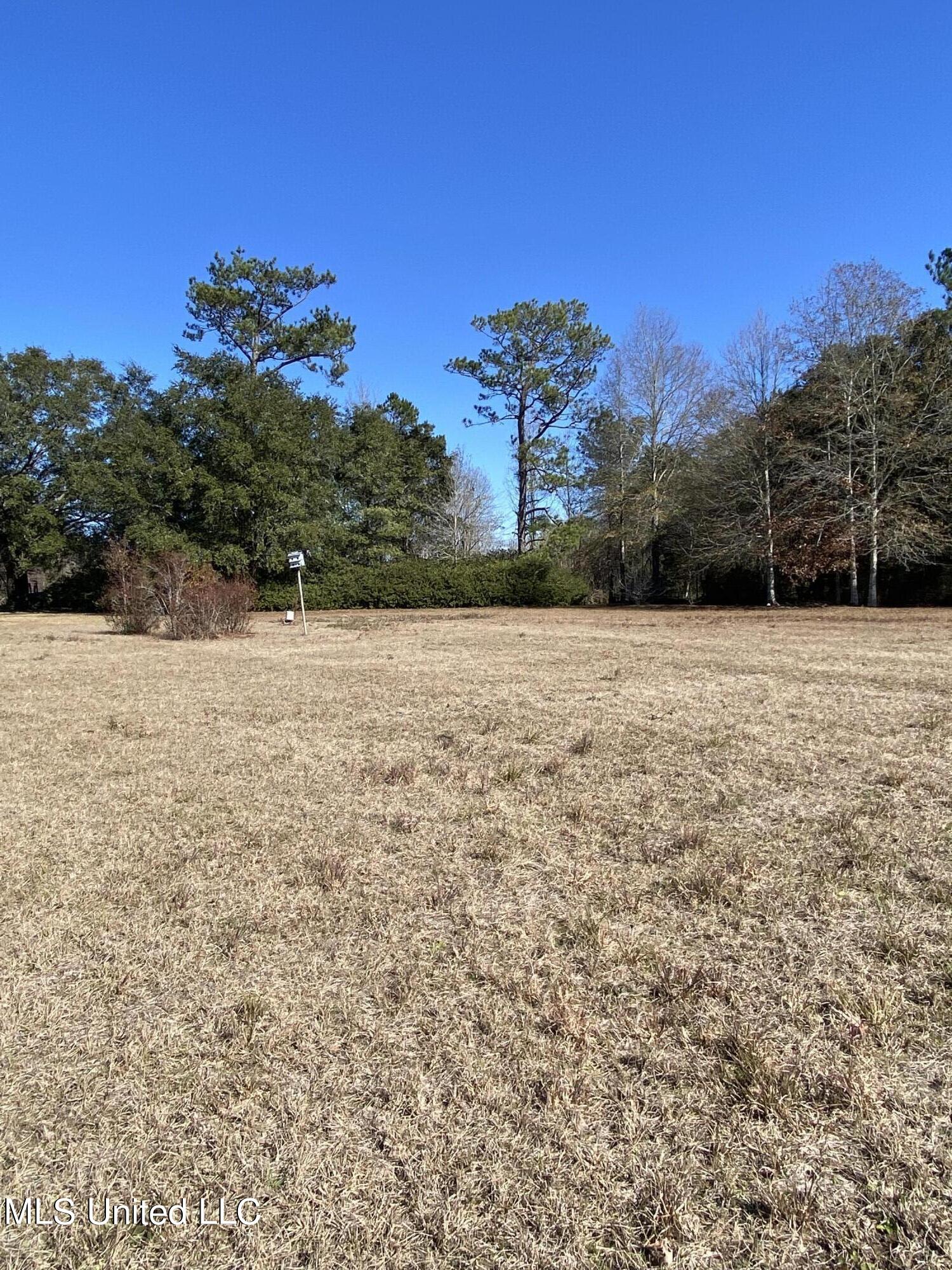 115 Albert Prince Road Carriere, MS 39426 - Photo 10 of 13 32