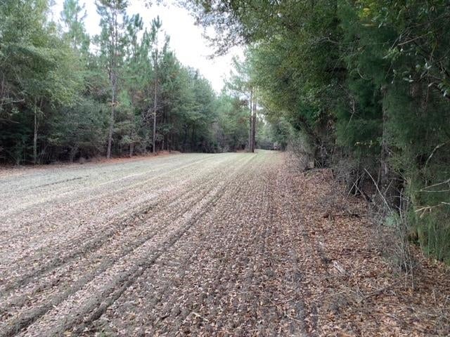 17470 Jimmy Smith Road Andalusia, AL 36421 - Photo 8 of 12 Gallery Image 8