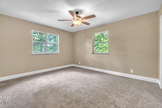 3253 Vonore Road Loudon, TN 37774 - Photo 29 of 44