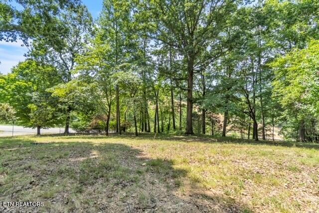 3253 Vonore Road Loudon, TN 37774 - Photo 4 of 44
