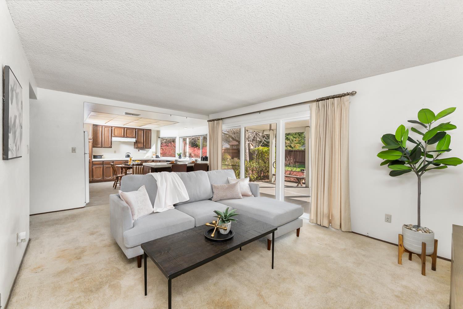3126 Oxford Road Cameron Park, CA 95682 - Photo 11 of 45 a living room with furniture and a potted plant