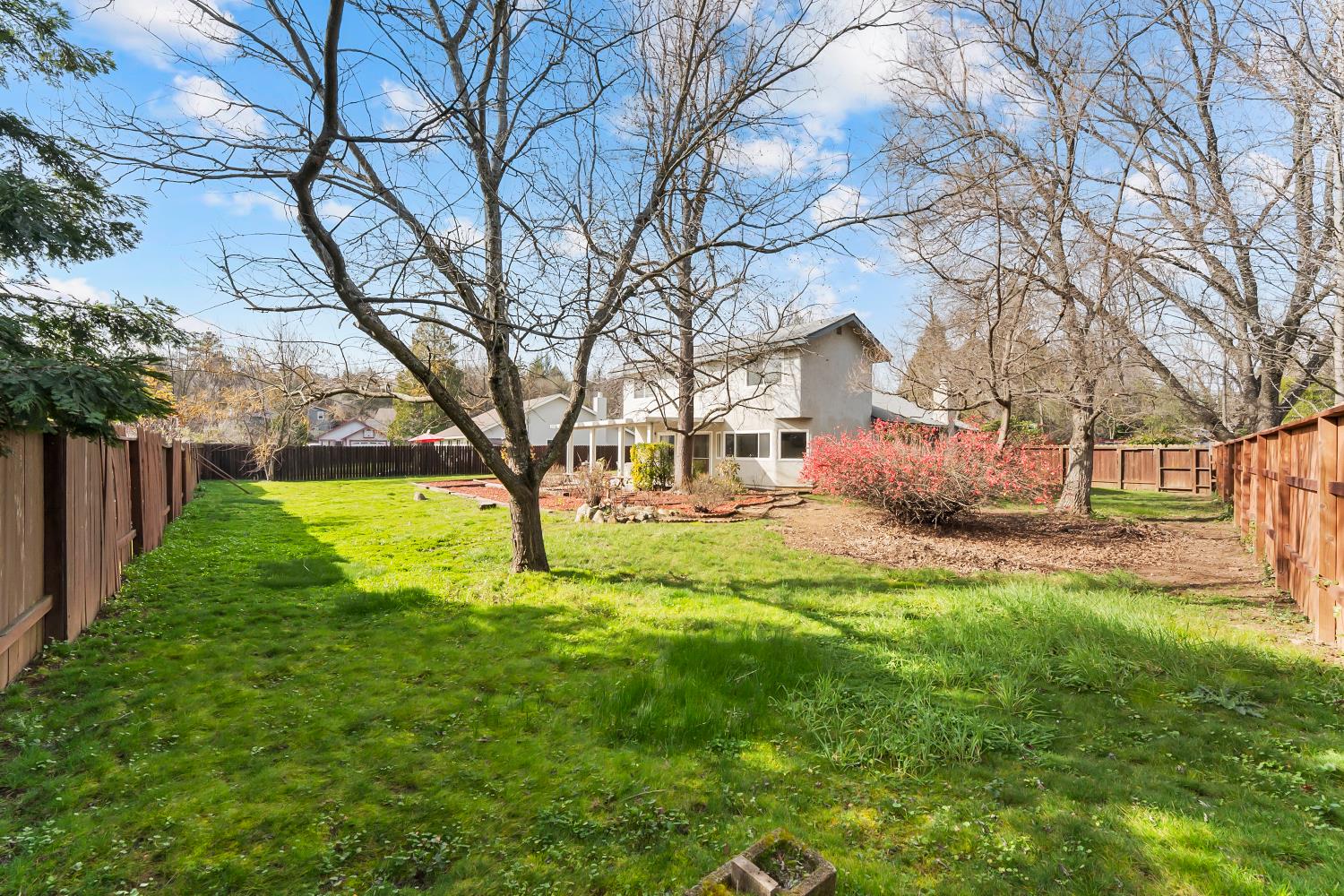 3126 Oxford Road Cameron Park, CA 95682 - Photo 40 of 45 a view of a yard with plants and large trees