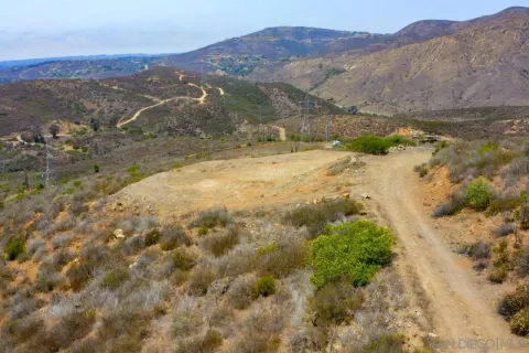 a view of a yard with trees