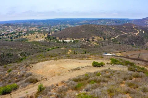 a view of a plant in a garden