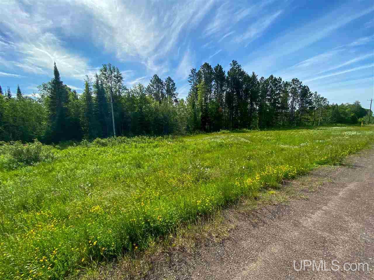 Tbd M-64 Ontonagon, MI 49953 - Photo 3 of 22