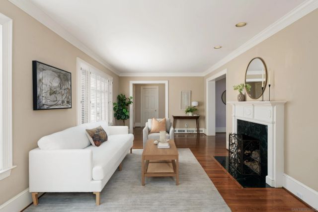 a living room with furniture a fireplace and a potted plant