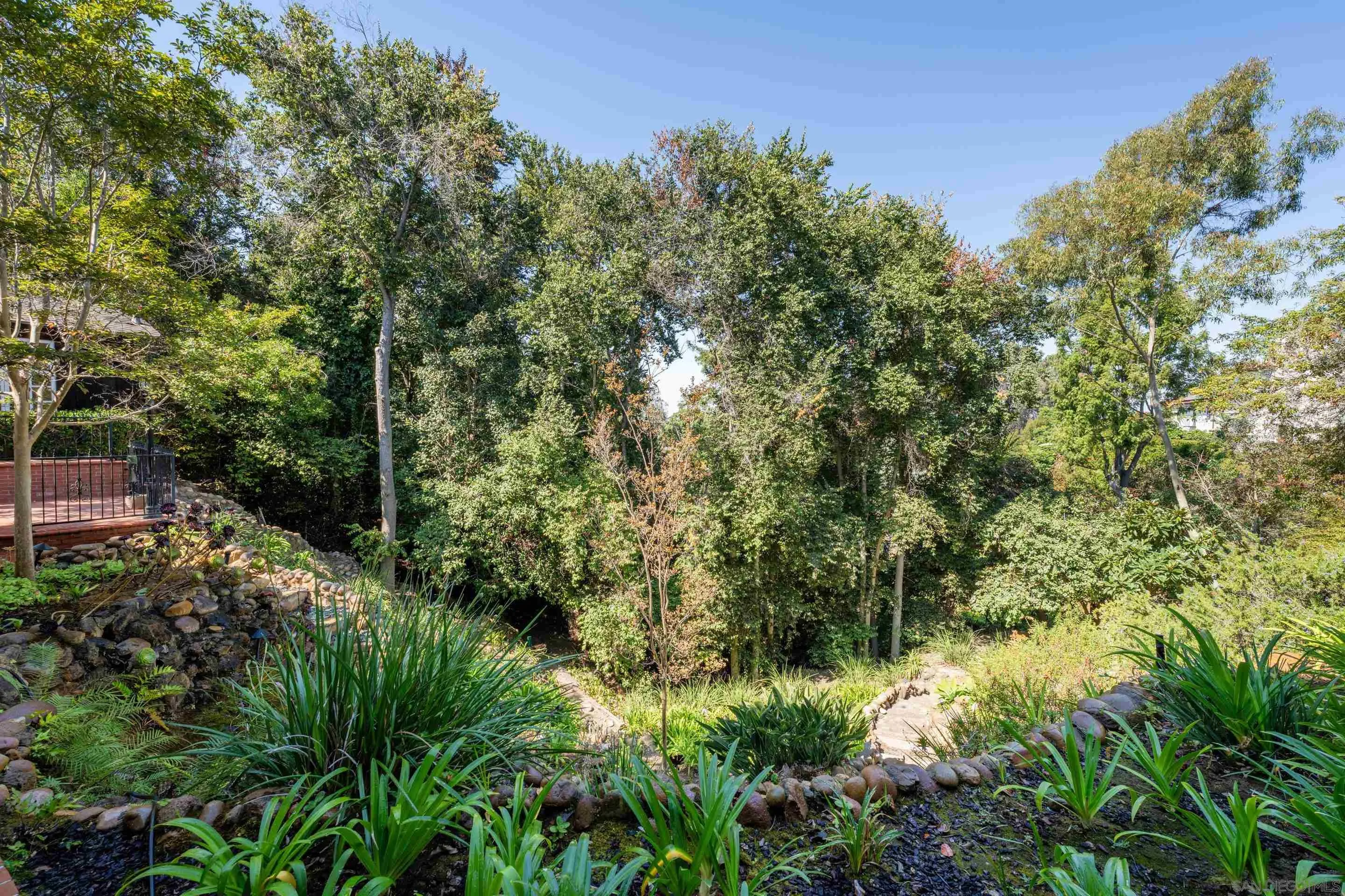 1506 Plumosa Way San Diego, CA 92103 - Photo 26 of 30 a view of a garden with plants and large trees