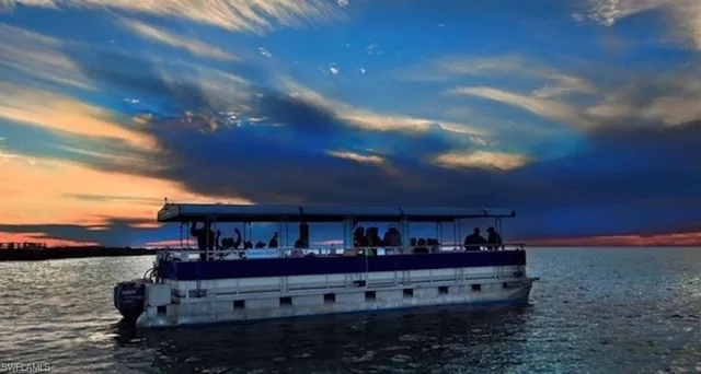 a view of a park with palm trees