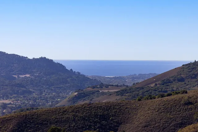 a view of sunset and trees